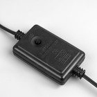 Контроллер Luazon Lighting для светового шнура 13 мм, 8 режимов, 220 В, 2-pin - фото 8362099