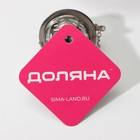 Ситечко для чая Доляна «Бергамот», d=4.5 см, на цепочке, нержавеющая сталь, серебристое - Фото 10