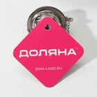 Ситечко для чая Доляна «Бергамот», d=4.5 см, на цепочке, нержавеющая сталь, серебристое - Фото 12