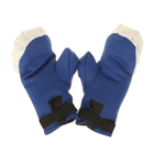 Боксерский набор «Россия чемпион», груша и перчатки - Фото 4