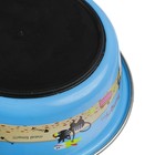 Миска креативная "Коты и рыбы" с нескользящим основанием, 250 мл, синяя - Фото 4