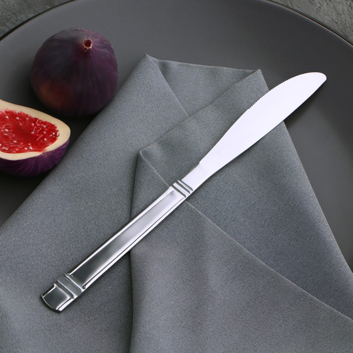 Нож столовый из нержавеющей стали Доляна «Варт», длина 21,9 см, толщина 2 мм, цвет серебряный - Фото 1