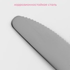 Нож столовый из нержавеющей стали Доляна «Нордик», длина 20,2 см, толщина 2 мм, цвет серебряный - Фото 2