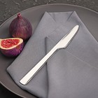 Нож столовый Доляна «Нью Гастро», длина 20 см, толщина 2 мм, цвет серебряный - фото 318037458