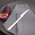 Нож столовый Доляна «Нью Гастро», длина 20 см, толщина 2 мм, цвет серебряный - Фото 2
