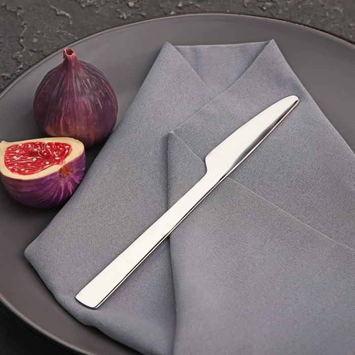 Нож столовый Доляна «Нью Гастро», длина 20 см, толщина 2 мм, цвет серебряный - фото 1892200397