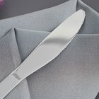 Нож столовый из нержавеющей стали Доляна «Равингтон», длина 22,3 см, цвет серебряный - Фото 2