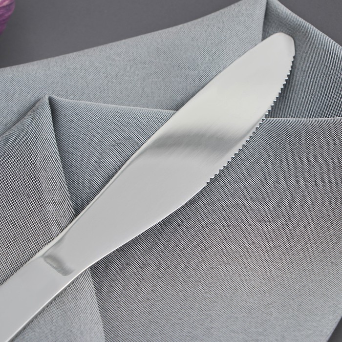 Нож столовый из нержавеющей стали Доляна «Равингтон», длина 22,3 см, цвет серебряный - фото 1908351135