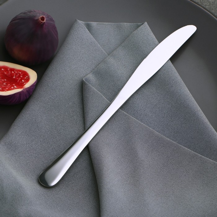 Нож столовый из нержавеющей стали Доляна «Плейн Бритиш», длина 22,7 см, толщина 2 мм - фото 1908351173