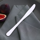 Нож столовый из нержавеющей стали Доляна «Плейн Бритиш», длина 22,7 см, толщина 2 мм - Фото 2