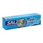 Зубная паста LION Salz Fresh, для слабых дёсен, 90 г - Фото 1