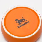 Миска керамическая 110 мл, оранжевая - Фото 5
