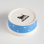 Миска малая Prince, 100 мл, 8.5×3.5 см, керамика, голубая - Фото 5