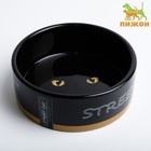 Миска керамическая "Черный кот" 300 мл  12,5 х 4,5 см, черно-оранжевая - Фото 2