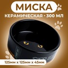Миска керамическая "Черный кот" 300 мл  12,5 х 4,5 см, черно-оранжевая - фото 3715493