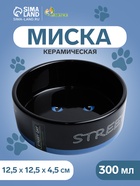 Миска «Черный кот», 300 мл, 12.5×12.5×4.5 см, керамика, черная - Фото 1