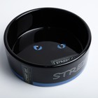 Миска керамическая "Черный кот" 300 мл  12,5 х 4,5 см, черно-синяя - Фото 5