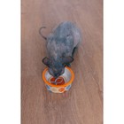 Миска керамическая графическая "Рыба" 250 мл, оранжевая - Фото 3