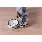 Миска двойная «Кошачье семейство», 40/60 мл, 19×10.5×3.5 см, керамика, белая, чёрная - Фото 5