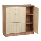 Обувница 3 отделения с дверью, 1060х280х960, Ясень шимо светлый/темный - фото 20778537