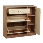 Обувница 3 отделения с дверью, 1060х280х960, Ясень шимо светлый/темный - фото 20778538