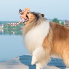 Игрушка резиновая "Кость" (14 см) с ручкой из каната для собак, до 37 см, микс цветов - Фото 8