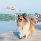 Игрушка резиновая "Кость" (14 см) с ручкой из каната для собак, до 37 см, микс цветов - Фото 9