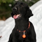 Маячок Сфера 3 режима свечения оранжевый - Фото 13