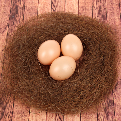 Набор яиц для декорирования, 3 шт. в гнезде, цвет коричневый