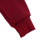 Комплект женский (толстовка, брюки) 5068Н-18 цвет бордовый, р-р 46 - Фото 4