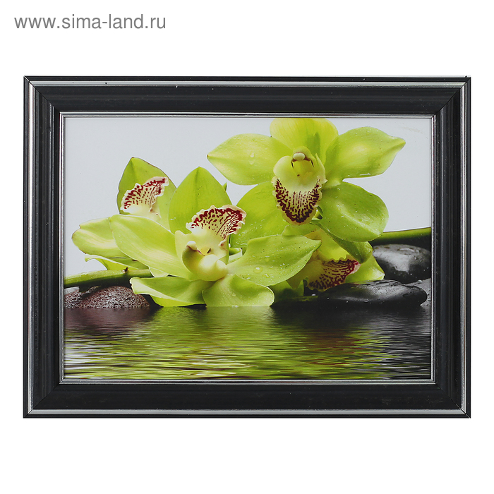 Картина "Зелёная орхидея" 13*18 см - Фото 1