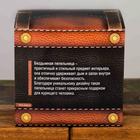 Пепельница бездымная «Перекур», 9×12 см - Фото 4