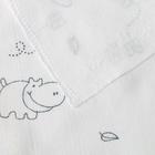 Пеленка фланелевая, размер 75×120 см, цвет МИКС, 170 г/м², хлопок 100% - Фото 6