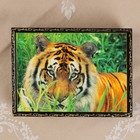 Шкатулка «Тигр в траве», лаковая миниатюра, 17х22 см - Фото 3