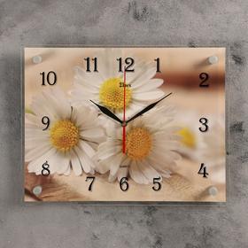 Часы настенные, серия: Цветы, "Милые ромашки" 30х40 см, микс