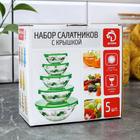 Набор стеклянных салатников с крышками «Киви», 5 шт: 130/200/350/500/900 мл, цвет зеленый - Фото 5