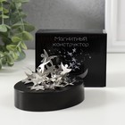 Магнитный конструктор антистресс 2.5×9×7 см «Акробаты» - Фото 2