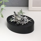 Магнитный конструктор антистресс 2.5×9×7 см «Акробаты» - Фото 4