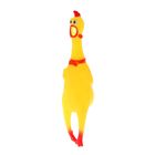 Курица, кричит, в сетке - Фото 1