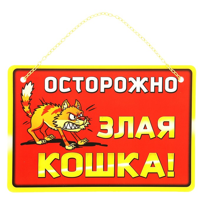 Осторожно злая кошка картинки