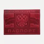 Обложка для паспорта, цвет бордовый - фото 318038880