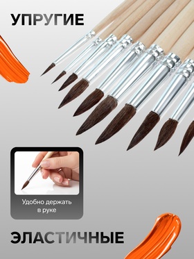 Набор кистей для рисования, белка, 12 штук: № 1, 2, 3, 4, 5, 6, 7, 8, 9, 10, 11, 12, круглые, деревянная ручка, международный размер