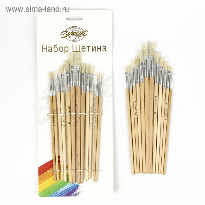 Набор кистей, щетина, плоские, 12 шт.: №1, 2, 3, 4, 5, 6, 7, 8, 9, 10, 11, 12, с деревянными ручками, на блистере - Фото 1