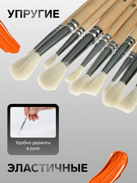 Набор кистей для рисования, коза, 12 штук: № 1, 2, 3, 4, 5, 6, 7, 8, 9, 10, 11, 12, круглые, деревянная ручка, международный размер