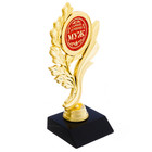 Кубок «Самый лучший муж», наградная фигура, золото, 17,3 х 6,4 см, пластик - фото 8805383