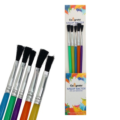 Набор кистей нейлон 5 штук, плоские, с пластиковыми цветными ручками
