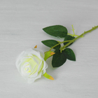 Цветы искусственные "Роза Морокко" 7*55 см, белая - Фото 1