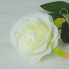 Цветы искусственные "Роза Морокко" 7*55 см, белая - Фото 2