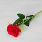Цветы искусственные "Роза Морокко" 7*55 см, красная - Фото 1