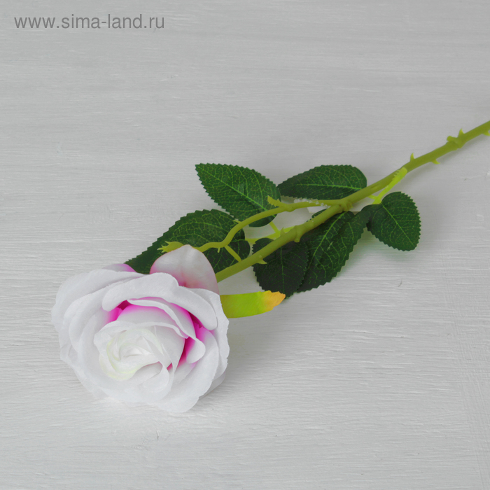 Цветы искусственные "Роза Морокко" 7*55 см, бело-сиреневая - Фото 1
